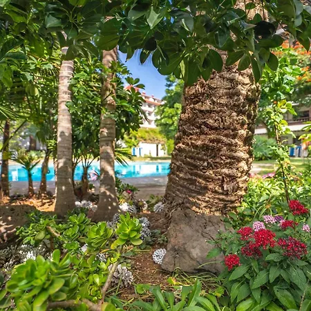 Coral Teide Mar Hotel apartamentowy