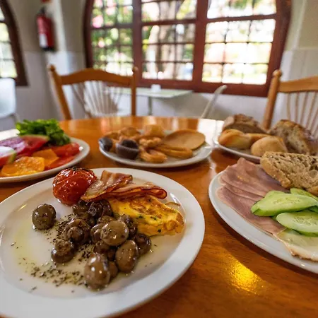 Coral Teide Mar Puerto de la Cruz (Tenerife)
