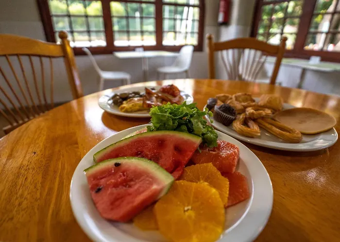 Coral Teide Mar Puerto de la Cruz (Tenerife)