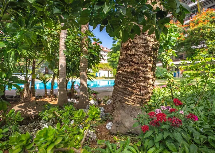 Coral Teide Mar Aparthotel